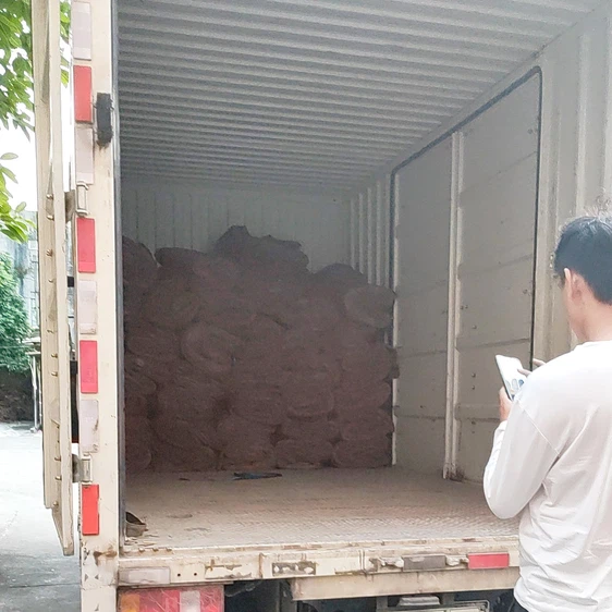 20241209145145 20241209145145