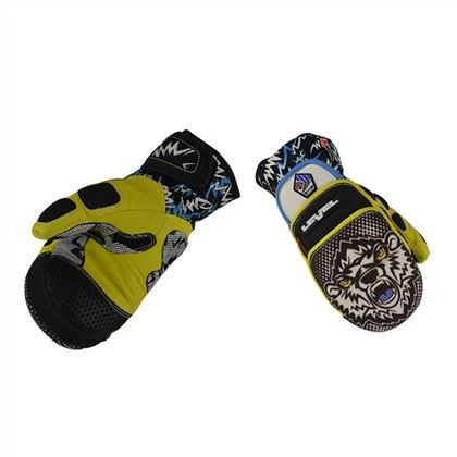 Gan Planch Winter Ski Ski